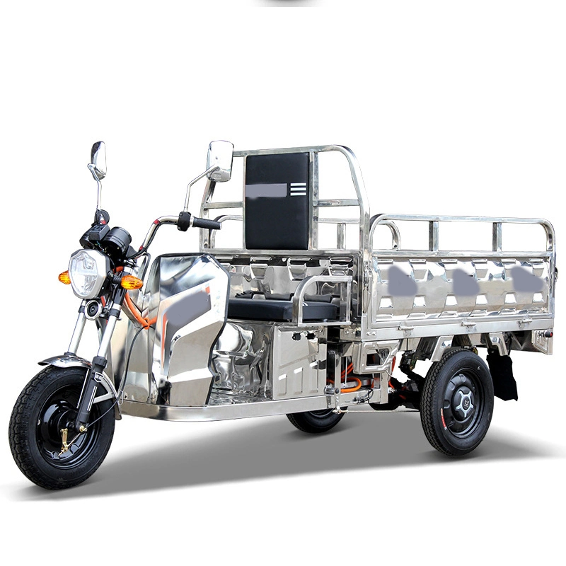 48V60V Cargo Tricycle with EEC Coc Europe and Asia Best-Selling Electric Tricycle for Farmer Adults with Lead-Acid Battery and Rechargeable