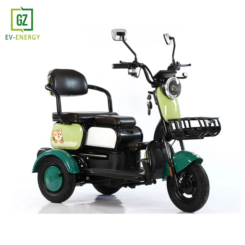 Small Electric Tricycle for Home