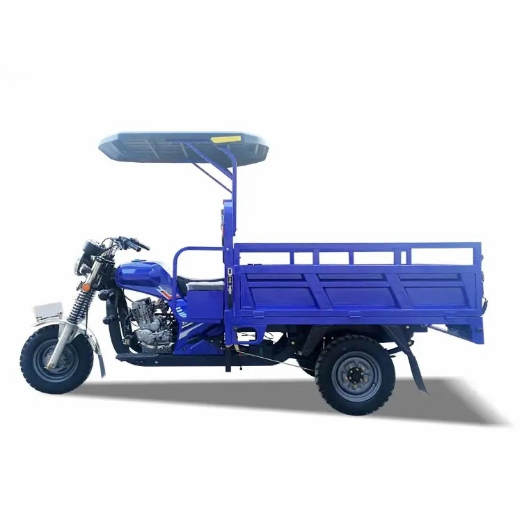 Factory Customization Cargo 3 Wheels Gasoline Cargo Big Triciclo Motorized Tricycle for Adult