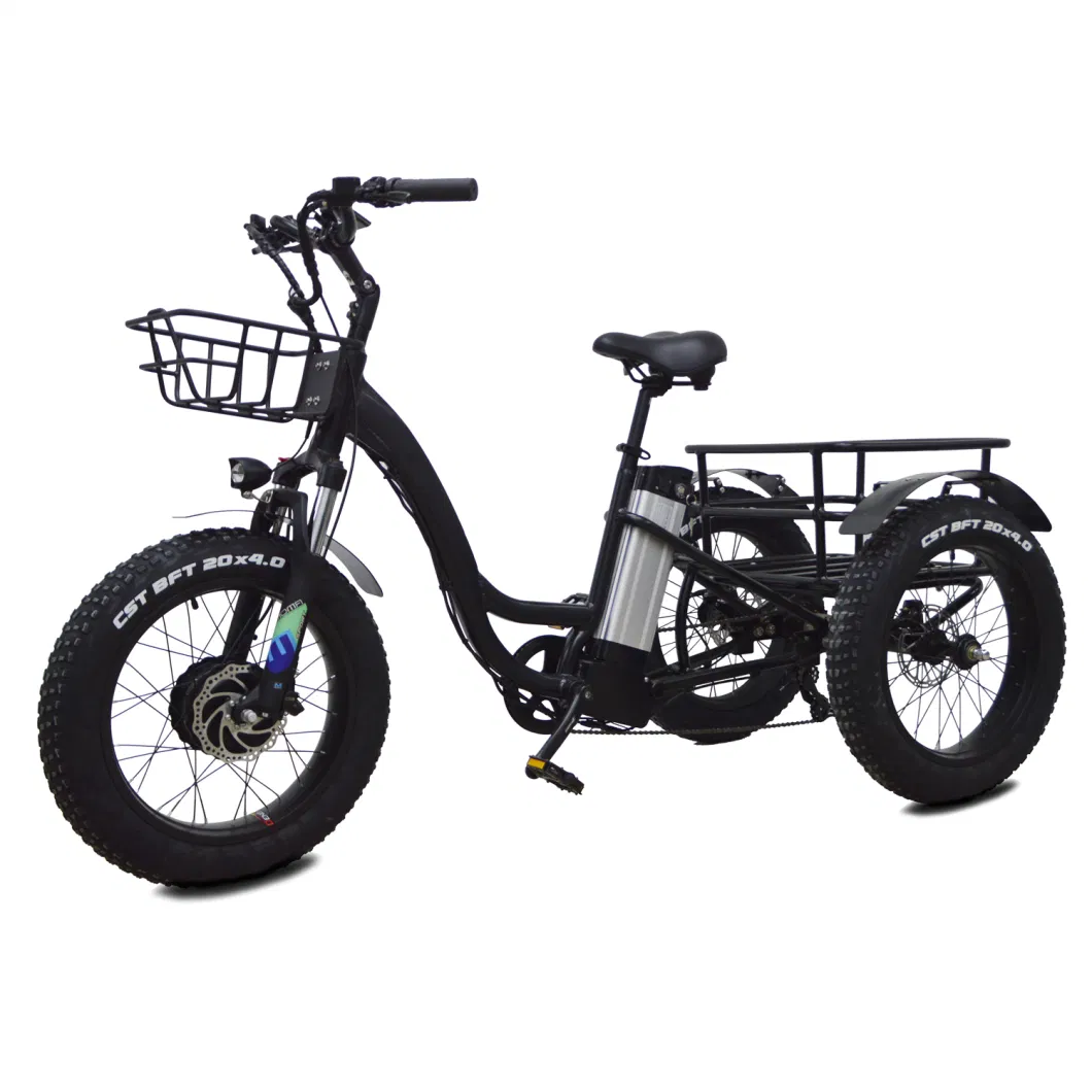 Electric Trike Fat Tire Electric Tricycle Three Wheels Adult Electric Cargo 3 Wheels Electric Vehicle