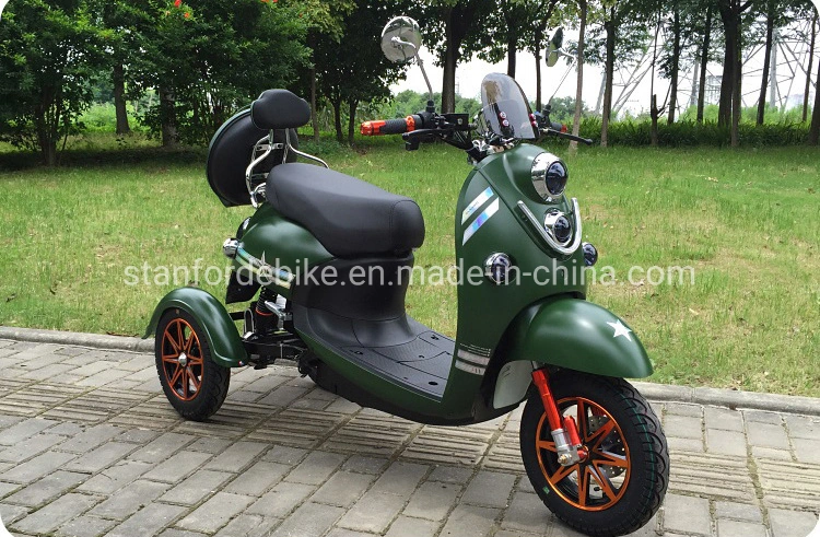 2020 Fat Tire Electric Tricycle Adults and Electric Trike with Lithium Battery