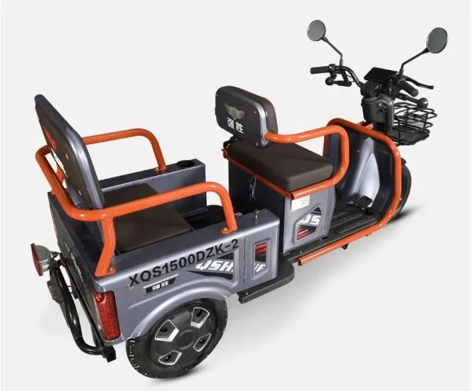 Foldable Electric Tricycle Smaller Electric Ebike Affordable Ebike for Sale