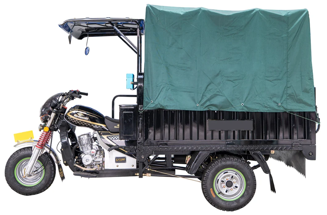 China Manufacture Big Carriage High Quality Carry Cargo Gas Motorized Adult Tricycle