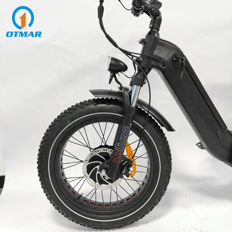 3 Wheel OEM Custom Good Electric Trike Fat Tire Adult Cargo Electric Tricycle with Basket Best Performance Hidden Lithium Battery E Trike