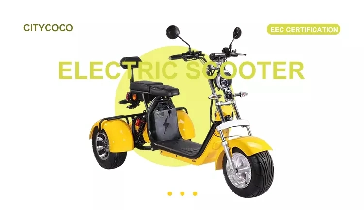 2022 Hot Sell Citycoco 3 Wheel Electric Scooter 1500W/Electric Trike/Adults Tricycles for Golf Bag