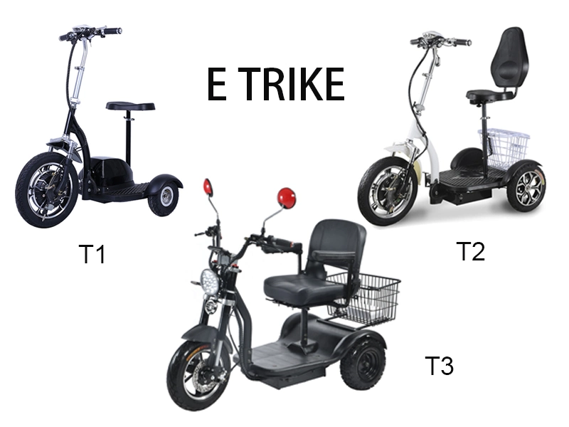 Fat Three 3 Wheels Big Tire Trike Adult Tricycle Electric Scooter 500W/350W City Bike