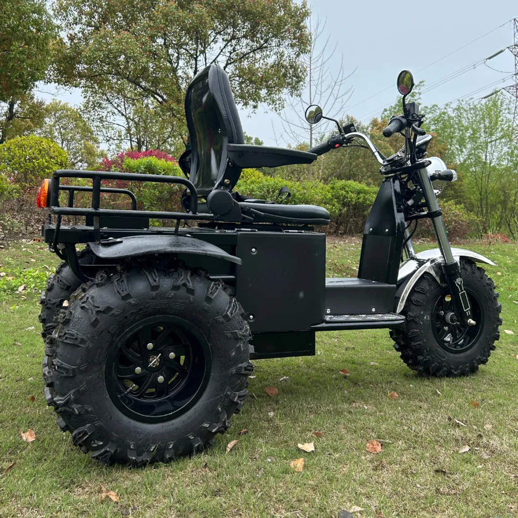 All Terrain Electric Scooter 3 Wheel Motorcycle for Mutilated