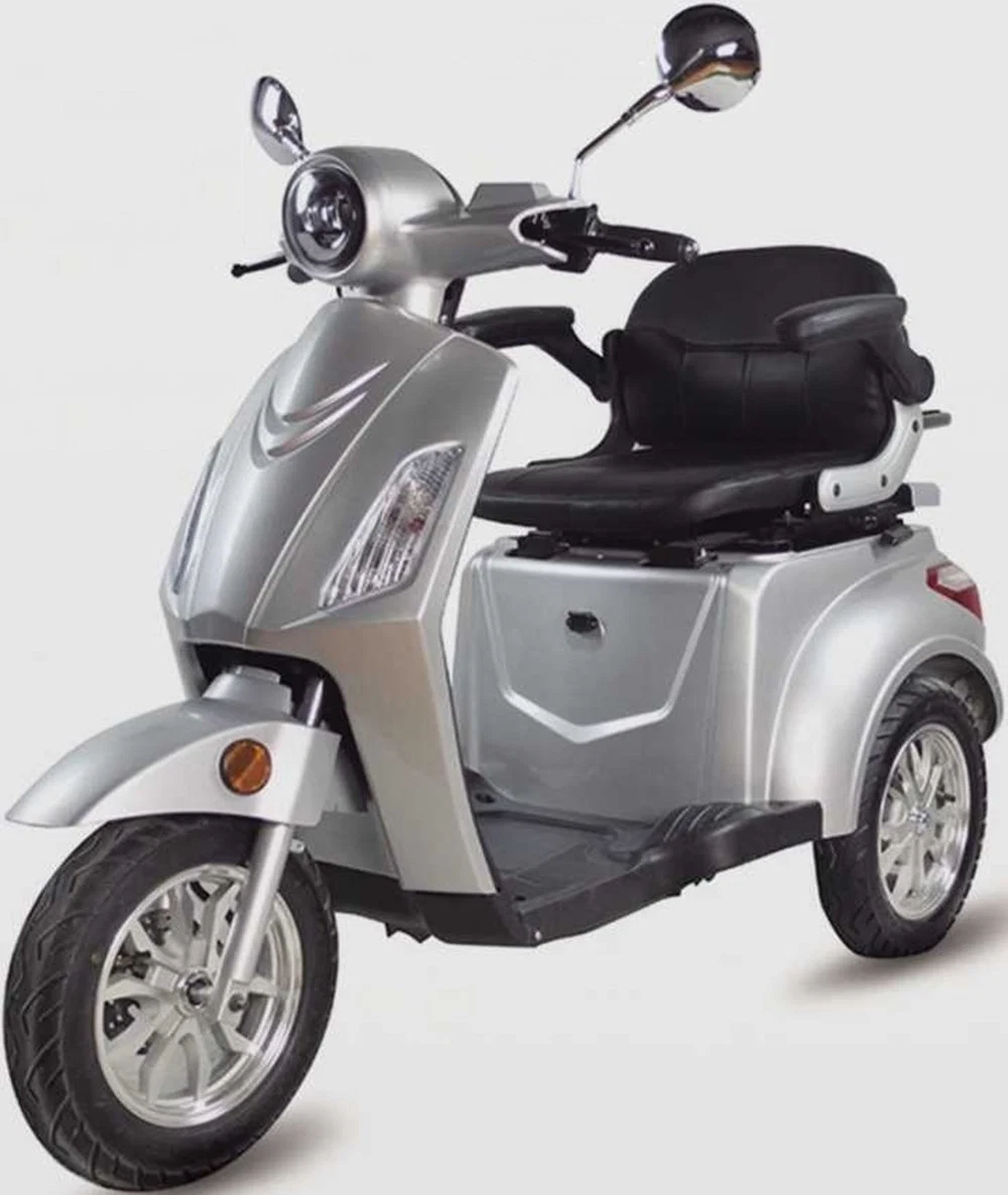 48V 1000W Trike Tricycle with Roof with EEC Certificate