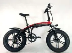 Electric Mountain Bike Bicycle Motrocycle Electric Tricycle Double Dmaplhing System Duild in Detachable Battery 48V 750W Power Motor Electric Tricycle