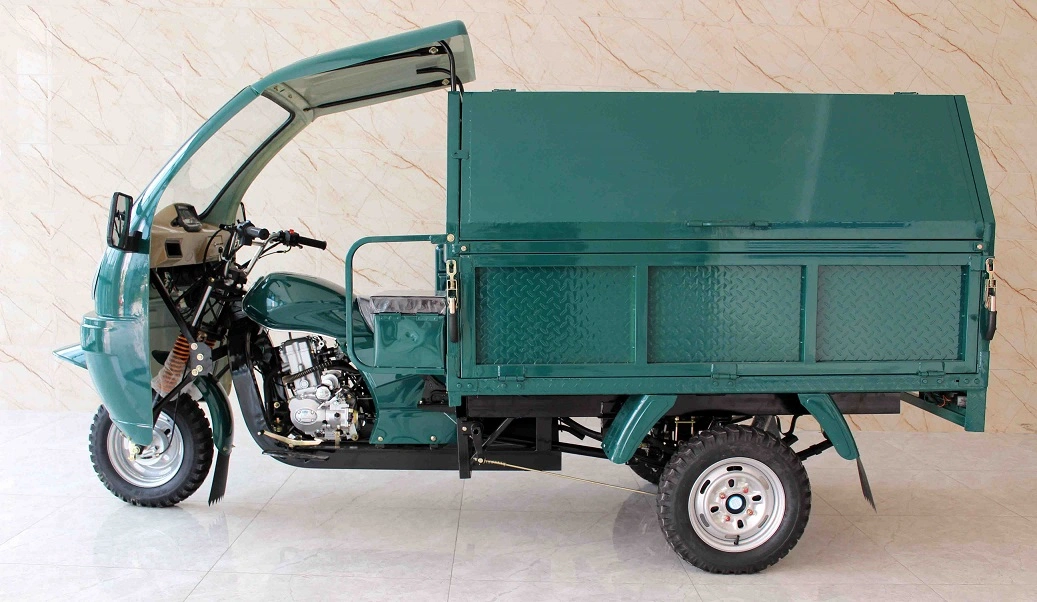 2000W/150cc Electric Gasoline Tricycle Tvs Rickshaw 3000W Electric Car 3wheel Motorcycle