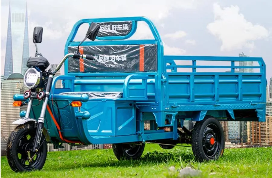 Low Speed Electric Tricycle for Agriculture with Open Carriage