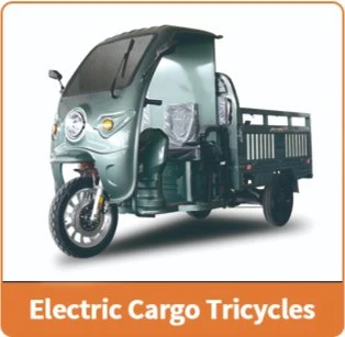 Jinpeng Popular Cheaper Price Big Power Three Wheel Vehicle Electric Cargo Tricycle with Drum Brake Farm Loader Trike