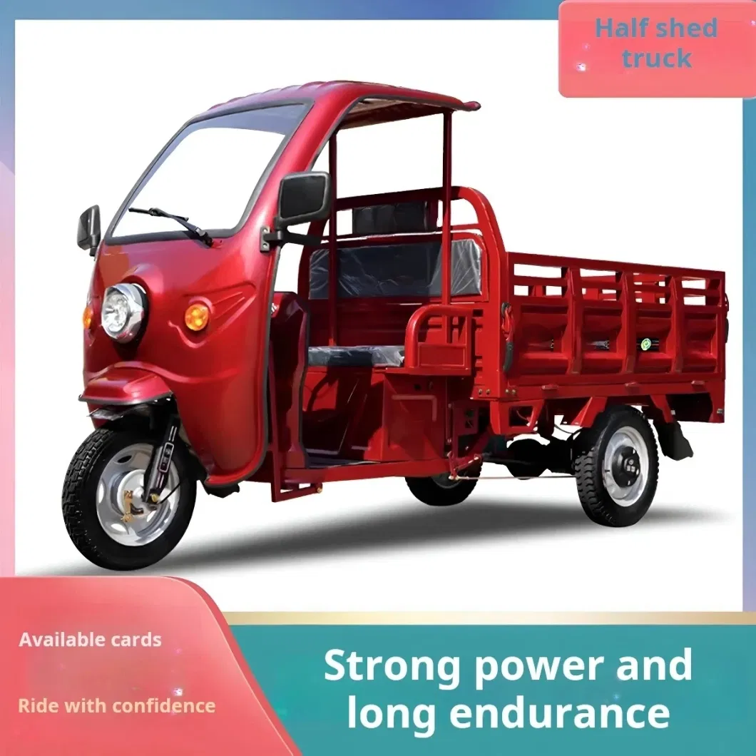 Electric Motor Cargo Tricycle Bike with Shed Three Wheel Truck for Sale