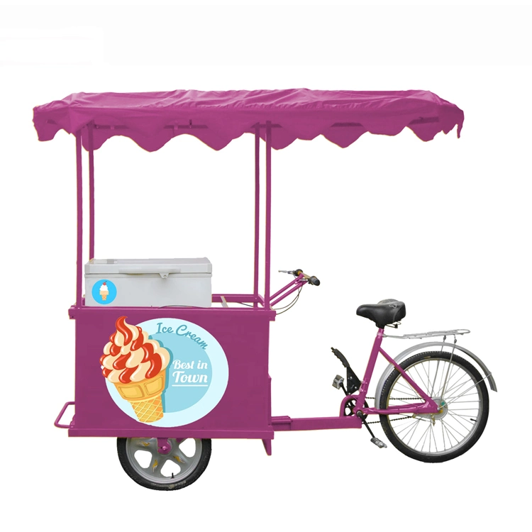 Ice Cream Tricycle with Solar Powered DC12V Chest Freezer