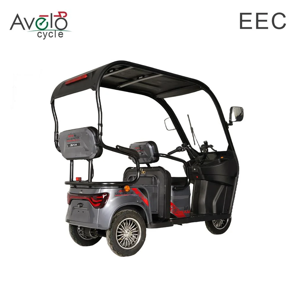 China Manufacturer Price Electric Tricycle Mobility 3 Wheel Electric Tricycle