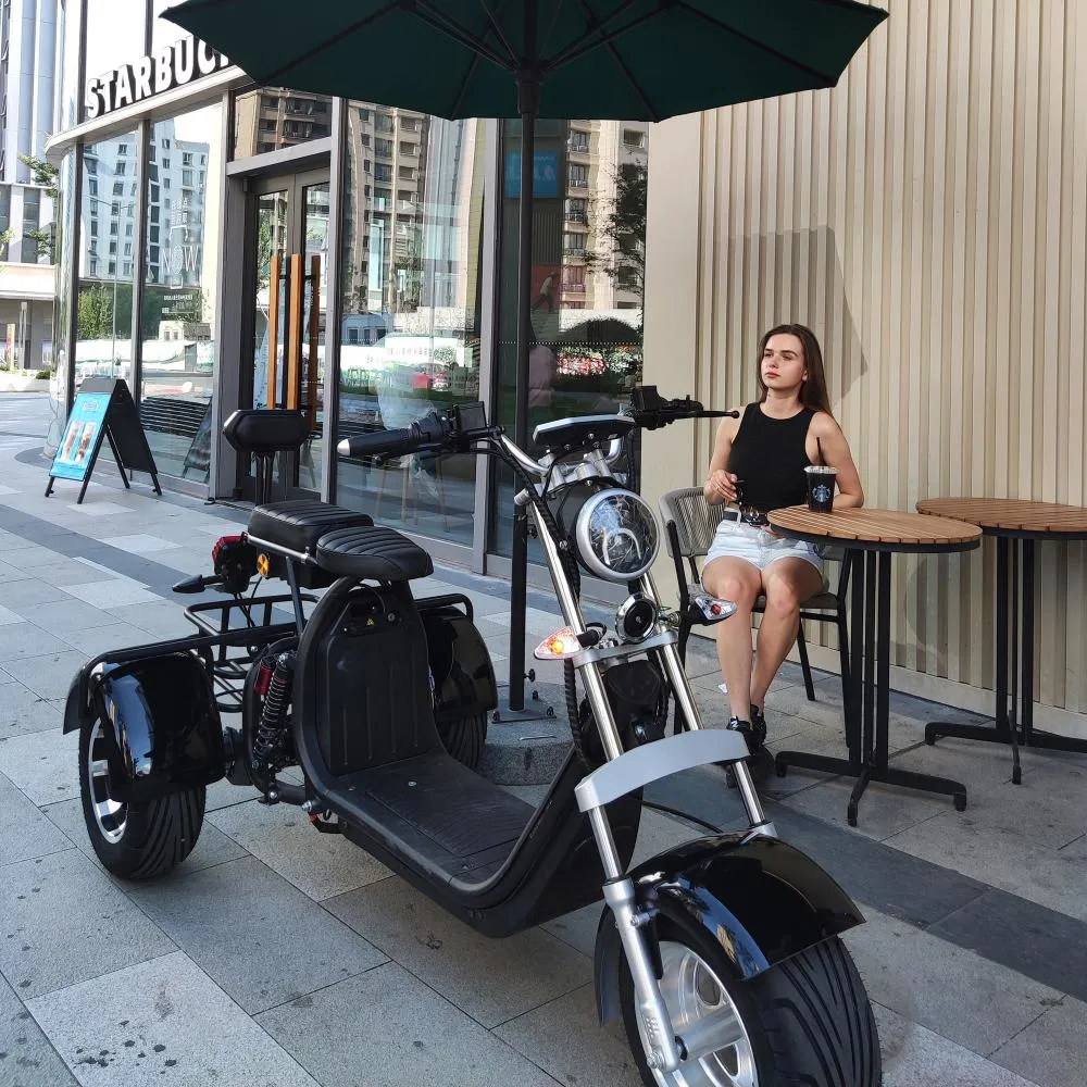 2000W 20ah Fat Tire Electric Tricycle Removable Battery Three Wheel Electric Scooter Motorcycle City Coco