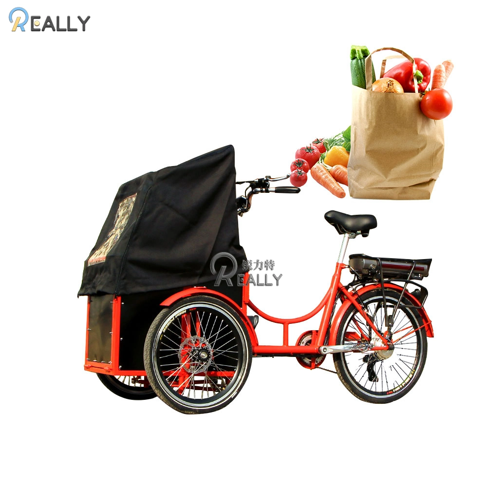 Hot Sale Family Portable Electric Cargo Bike 3 Wheels Adult Trike Tricycle Electric Truck Loading Vegetables and Food