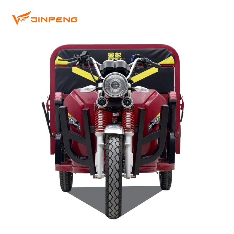 Best Sell Cargo Loading Adult Electric Tricycle with High Speed