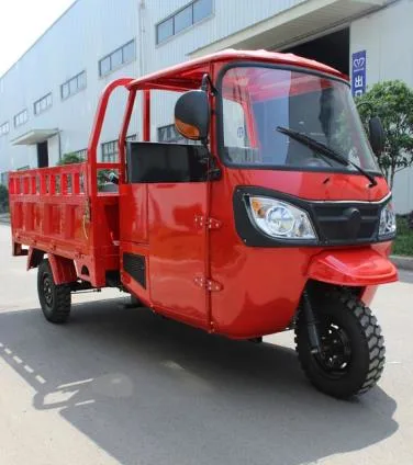 China Manufacture Big Carriage High Quality Carry Cargo Gas Motorized Adult Tricycle