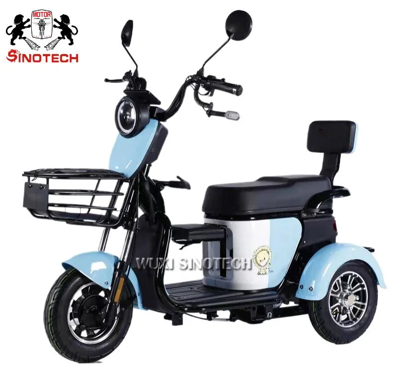 2024 Brand Sightseeing Golf Travel Electric Grocery Cart Electric Scooter Electric Tricycle