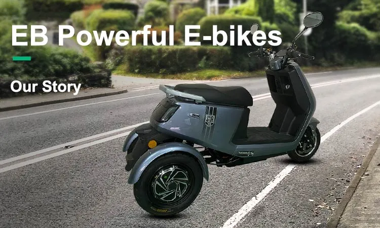 Wholesale High Quality Adults Battery Powered 3 Wheel Electric Tricycle with Seat