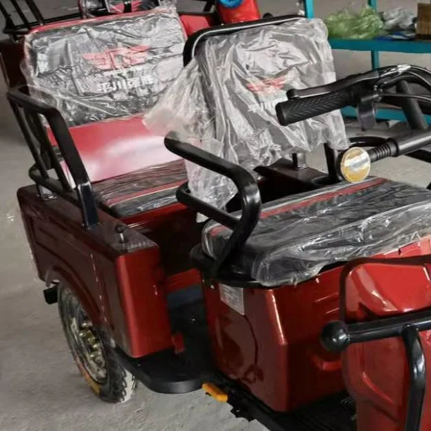 Best Electric Trikes for Seniors for Both Cargo and Passenger Mobility