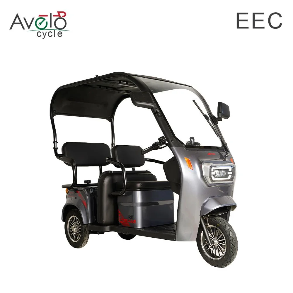 China Manufacturer Price Electric Tricycle Mobility 3 Wheel Electric Tricycle