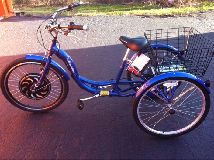 3 Wheel Motorized Bike, Electric Cargo Trike, Three Electric Cargo Tricycle with Our Hub Motor