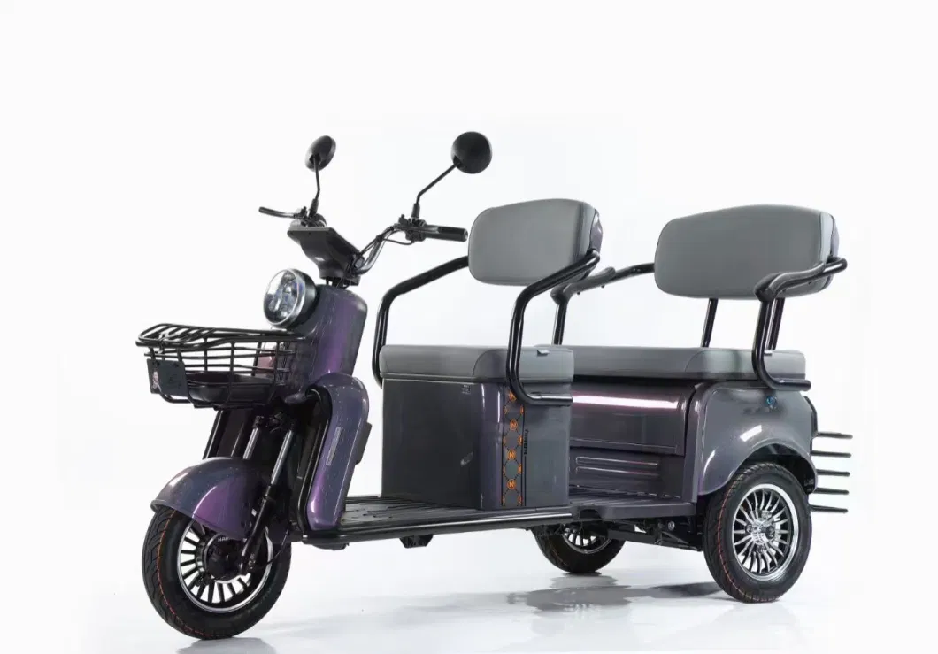 Three Wheels New Design Full Closed Electric Tricycle for Adult Motorcycle