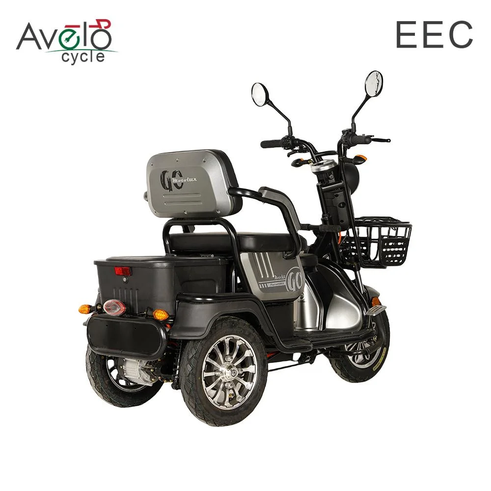 Mini 60V 1600W Mobility Scooter Old Man The Disabled Friendly Disc Brake Electric Tricycle