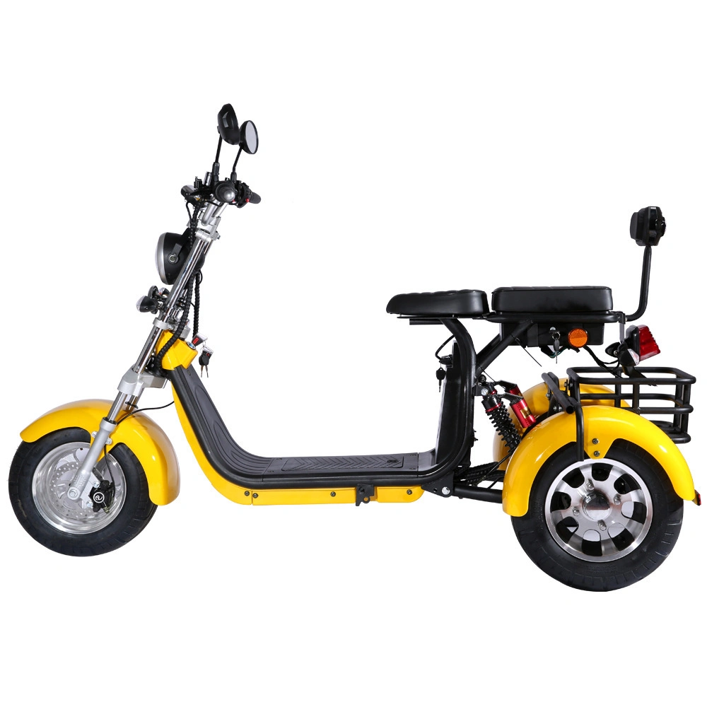 2000W 20ah Fat Tire Electric Tricycle Removable Battery Three Wheel Electric Scooter Motorcycle City Coco