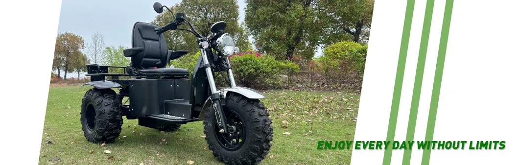 All Terrain Electric Scooter 3 Wheel Motorcycle for Mutilated