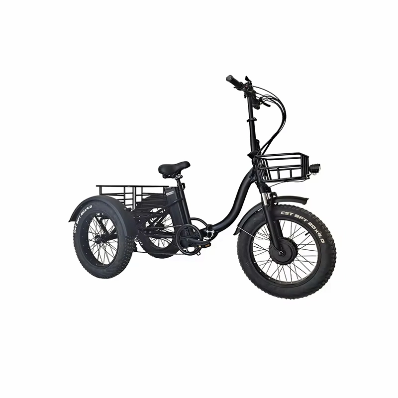 3 Wheel Electric Tricycle 20ah Battery Electric Motorcycle Three Wheel Electric Tricyle Scooter for Adult