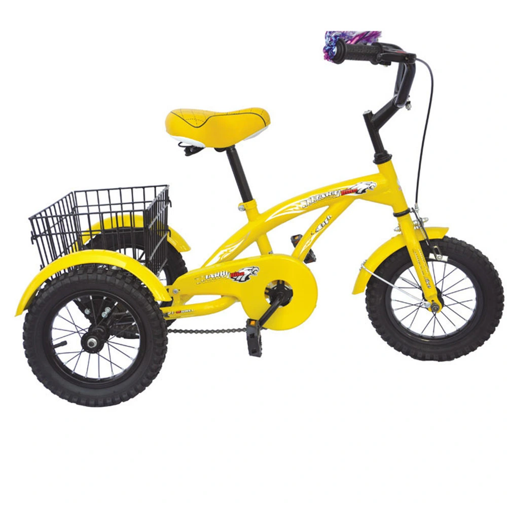 Pont Arriere Tricycle Adulte Adult Tricycle for Seniors