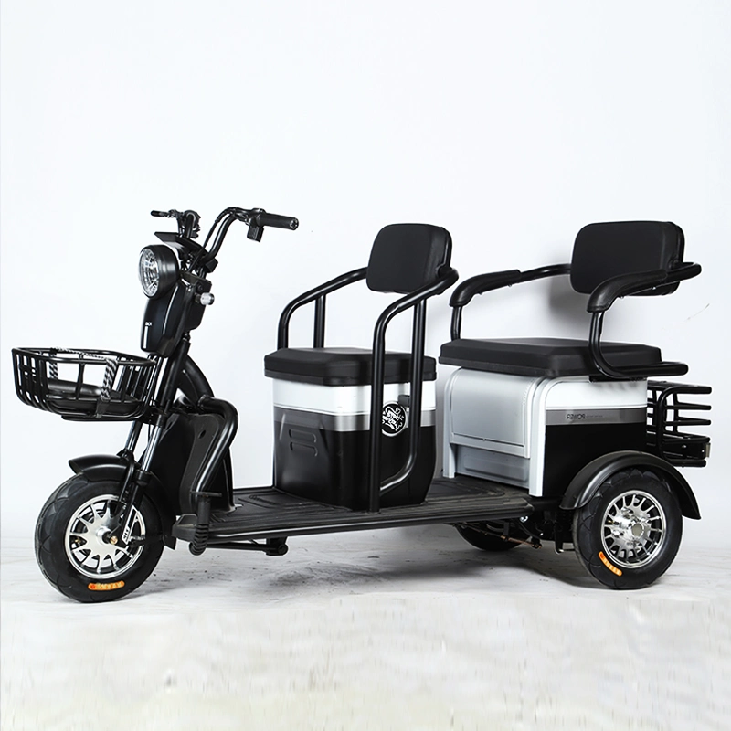 Good Quality Adult Aluminum Alloy 600W Electric Cargo Trike Vehicle Electric Tricycle for Seniors