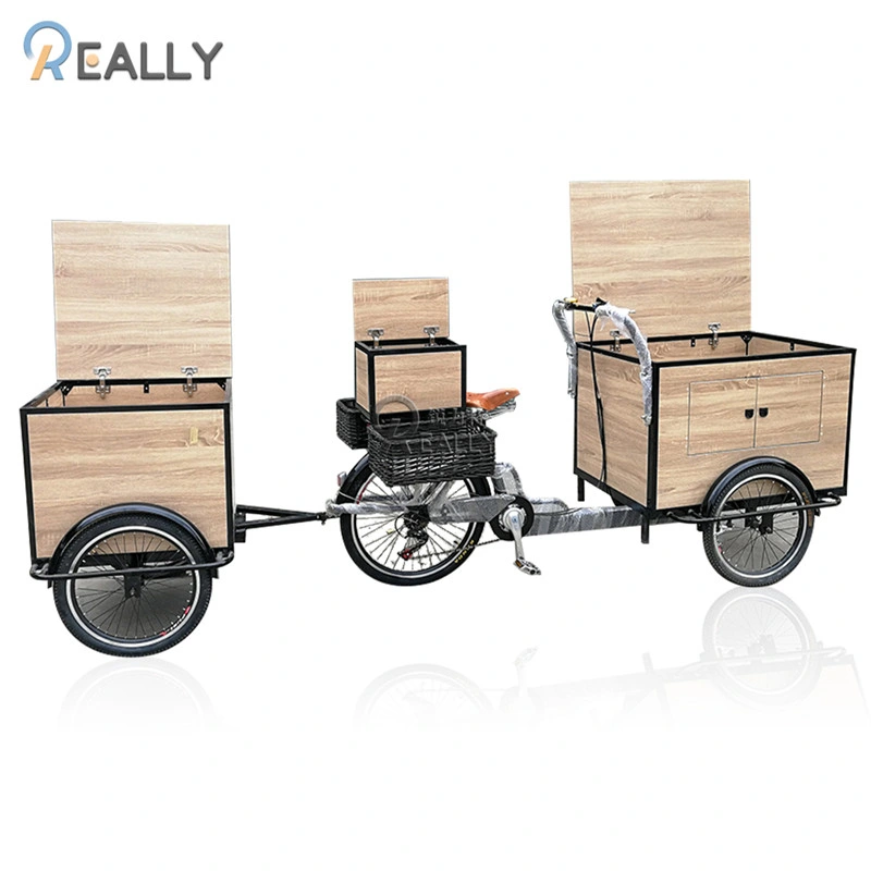 Retro Electric Three Wheels Cargo Bike Adult Tricycle Mobile Food Display Cart for Sale Coffee Fruit Beer on The Street