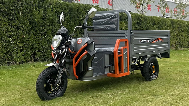 Electric Cargo Tricycle for Delivery Electric Trike for Sale