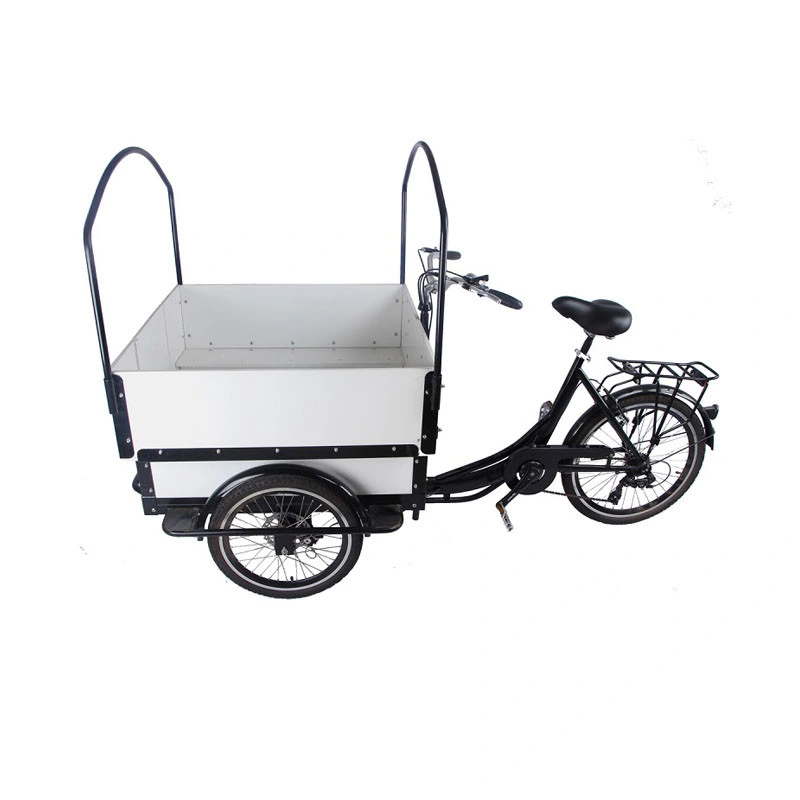 Electric Mobile Cargo Bike Trends Style White Color Motorized Tricycles for Adults Family Kids Children Scooter Customizable