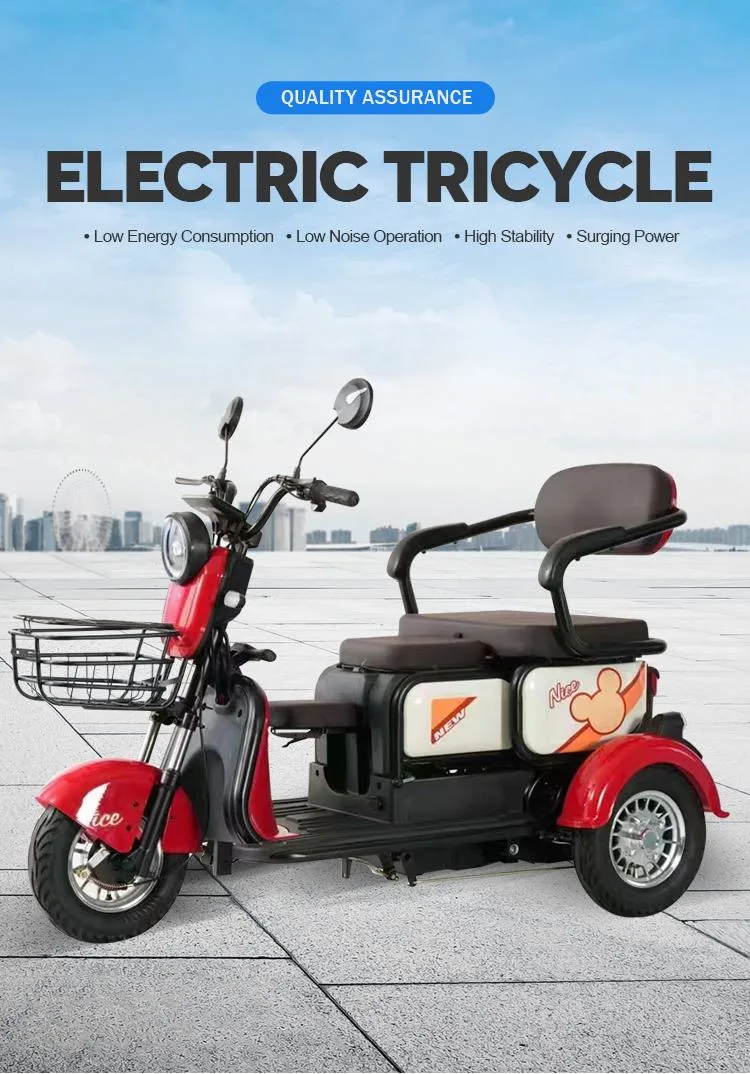 Adult Electric Tricycle Adult 48V 500W with Integrated Battery Steel Frame Electric Tricycle with Basket