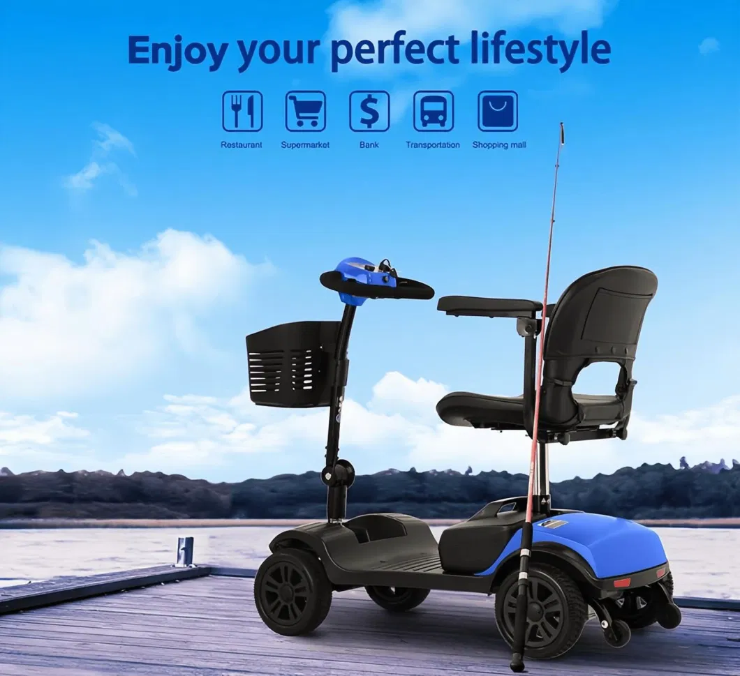 Anti-Rollback Brake Folding Disability Handicapped Scooter Mobility Electric Tricycle for Adults