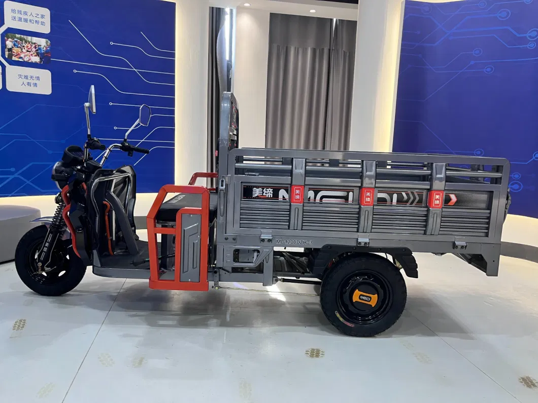 Electric Cargo Tricycle for Delivery Electric Trike for Sale