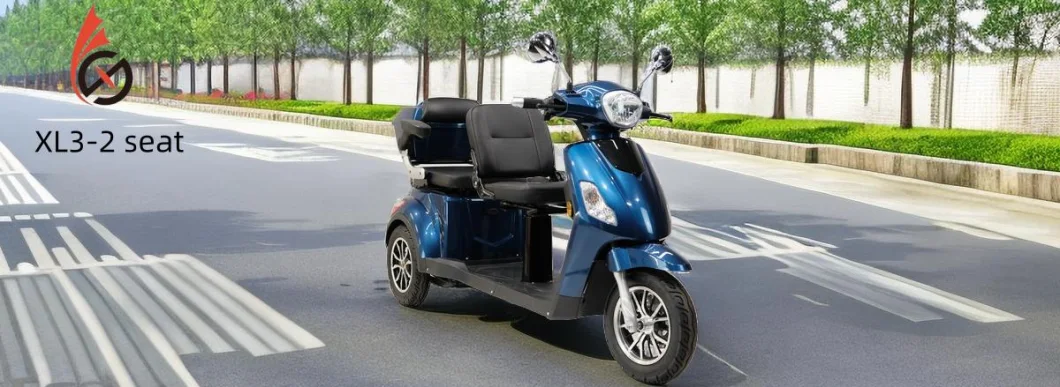 Three Wheeler Cargo 500W Electric Trike 60V 20A Long Rang 3 Wheels Fat Tire Adults Electric Tricycle