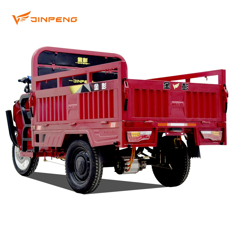 Best Sell Cargo Loading Adult Electric Tricycle with High Speed