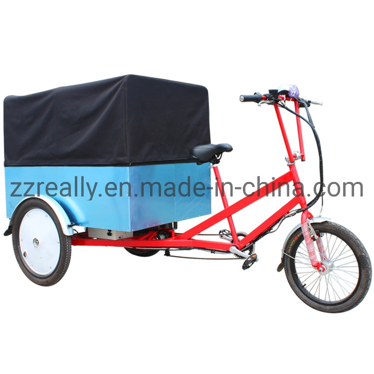 Three Wheels Electric Truck Food Trailer Cart Bike Bicycle for Sale