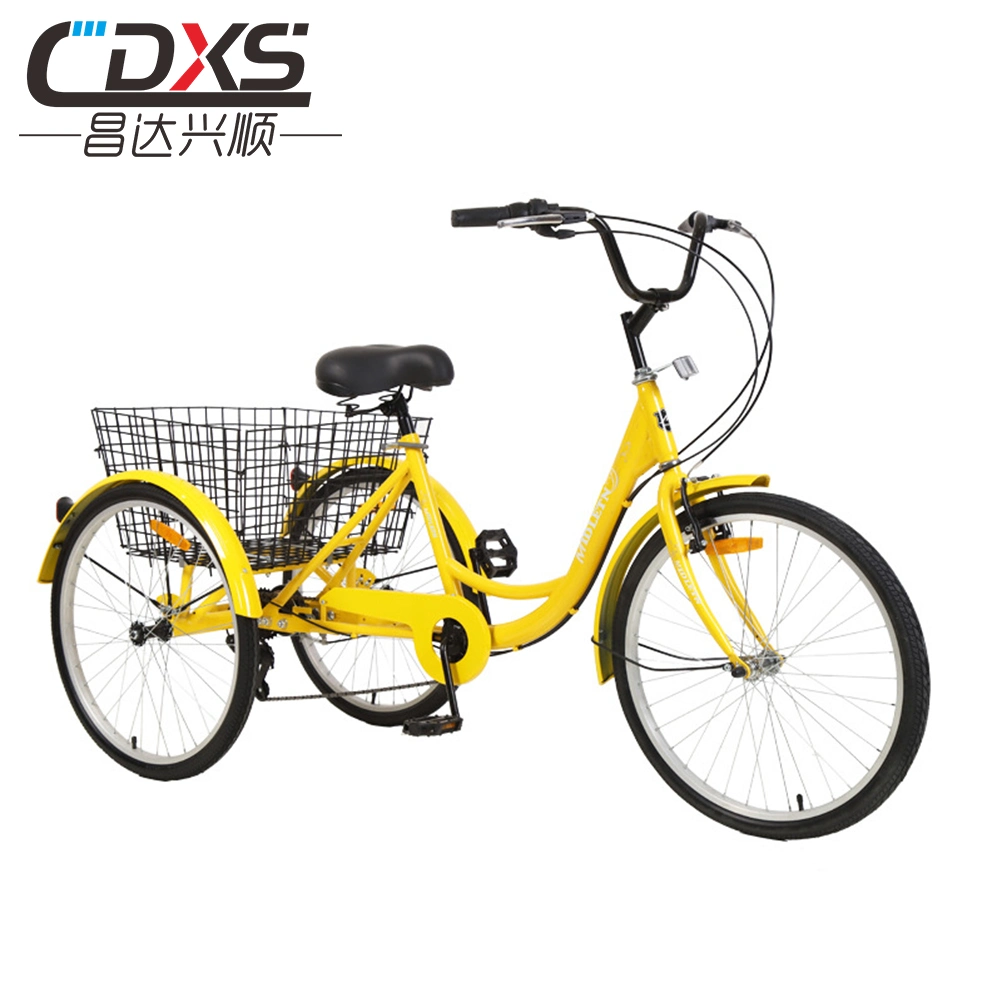 Convenient Mobility Trike with Parking Function