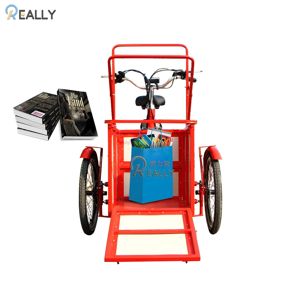 Hot Sale Family Portable Electric Cargo Bike 3 Wheels Adult Trike Tricycle Electric Truck Loading Vegetables and Food