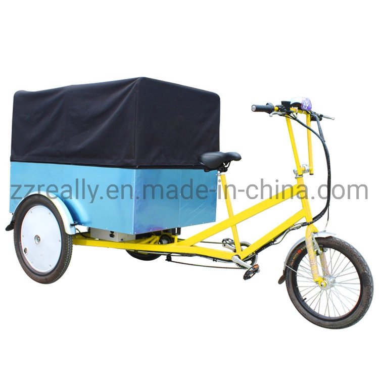 Three Wheels Electric Truck Food Trailer Cart Bike Bicycle for Sale