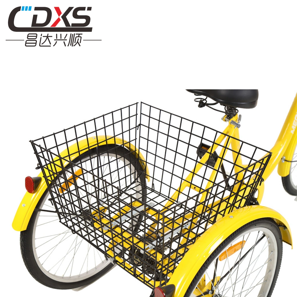 Convenient Mobility Trike with Parking Function