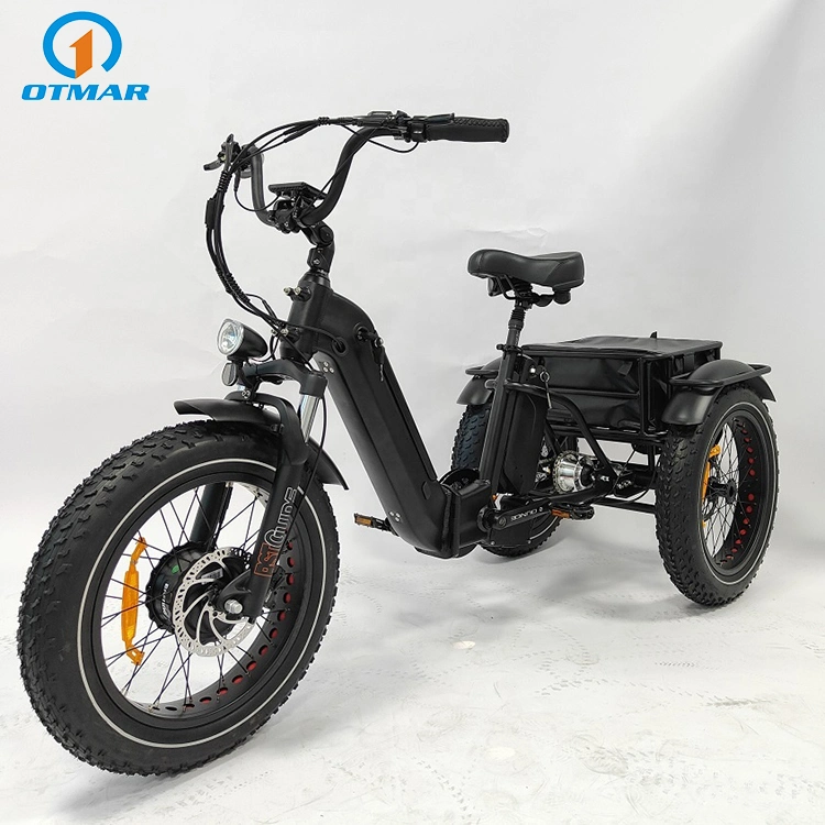 3 Wheel OEM Custom Good Electric Trike Fat Tire Adult Cargo Electric Tricycle with Basket Best Performance Hidden Lithium Battery E Trike