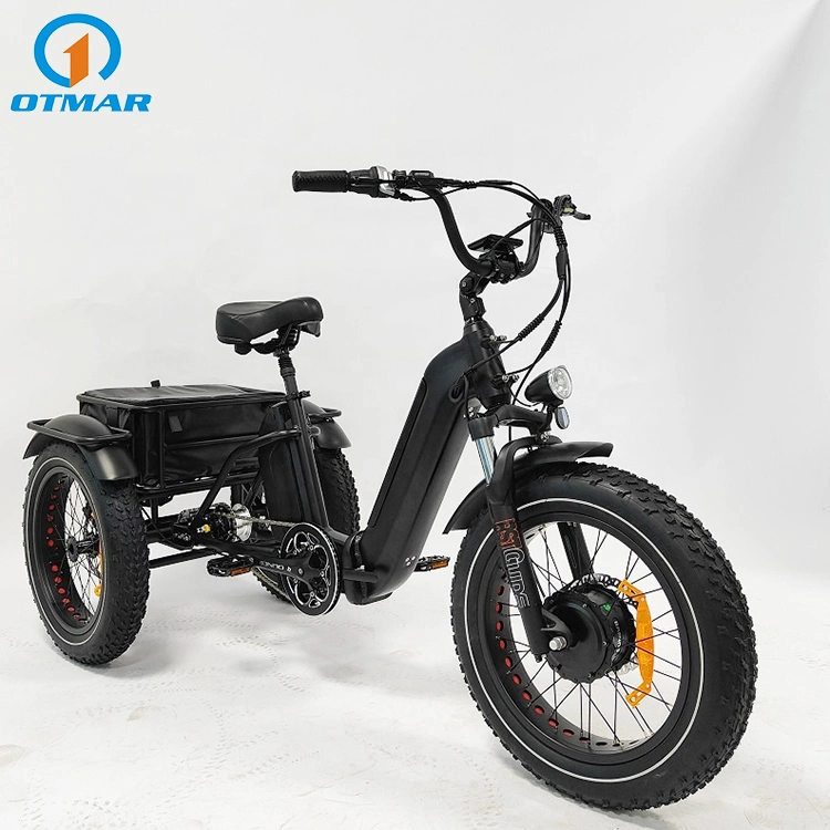 3 Wheel OEM Custom Good Electric Trike Fat Tire Adult Cargo Electric Tricycle with Basket Best Performance Hidden Lithium Battery E Trike